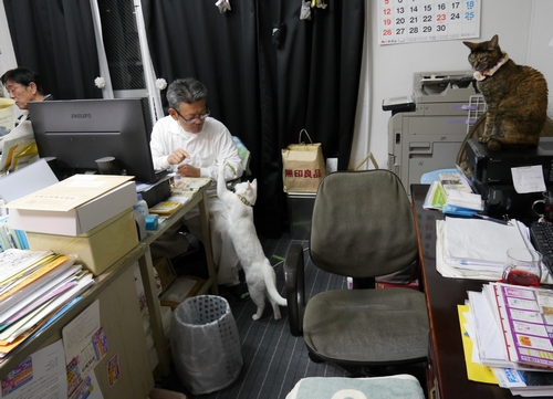 二郎さんにおねだりする「ちはる」を右上から見る「たまこ」