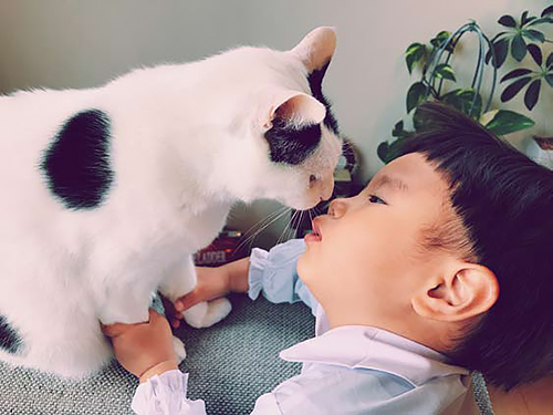 「ザクロとたい」から　（ぴあ／もりもとりえ）