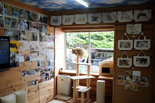 お客さんが撮影した写真やスケッチを展示