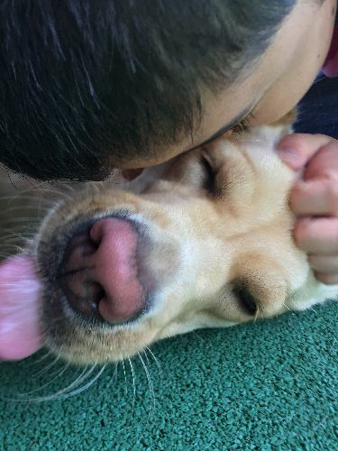 「僕ら、離れても通じ合ってるよね」キスをする龍大くん