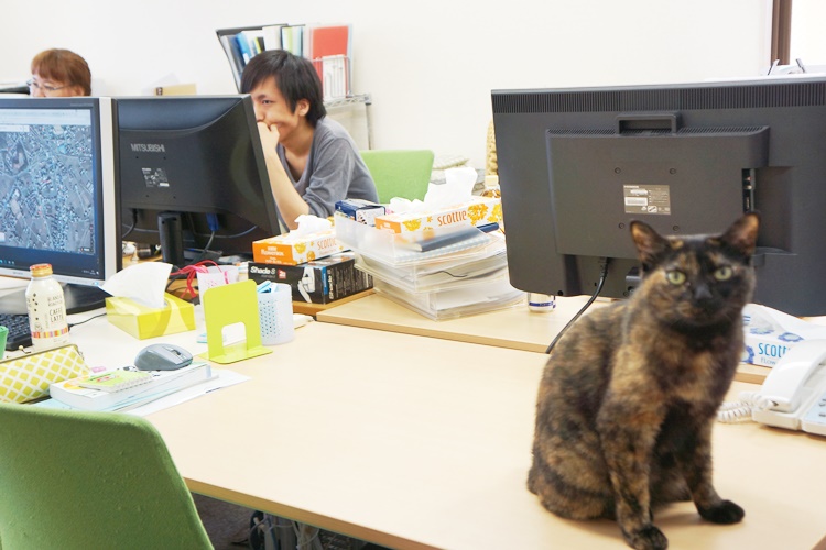 3階にいるお茶目な「Ｖ（ヴィー）」