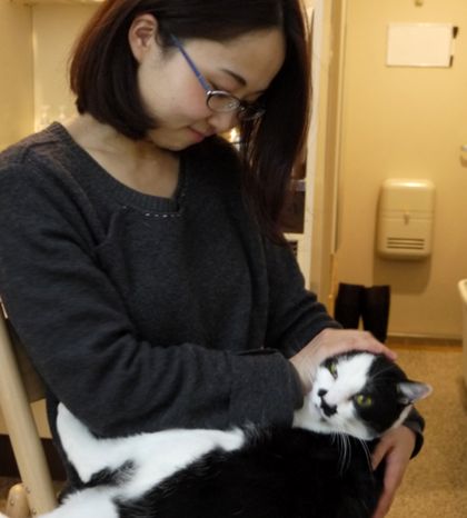 鶴岡さんに甘える猫