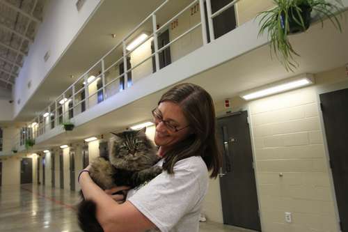 ネグレクトされていた猫をかわいがる受刑者＝生活棟で ©大塚敦子