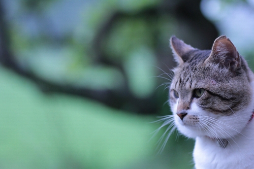 紆余曲折あってもただ前を見る、未来を見る（丹竜治さん撮影）