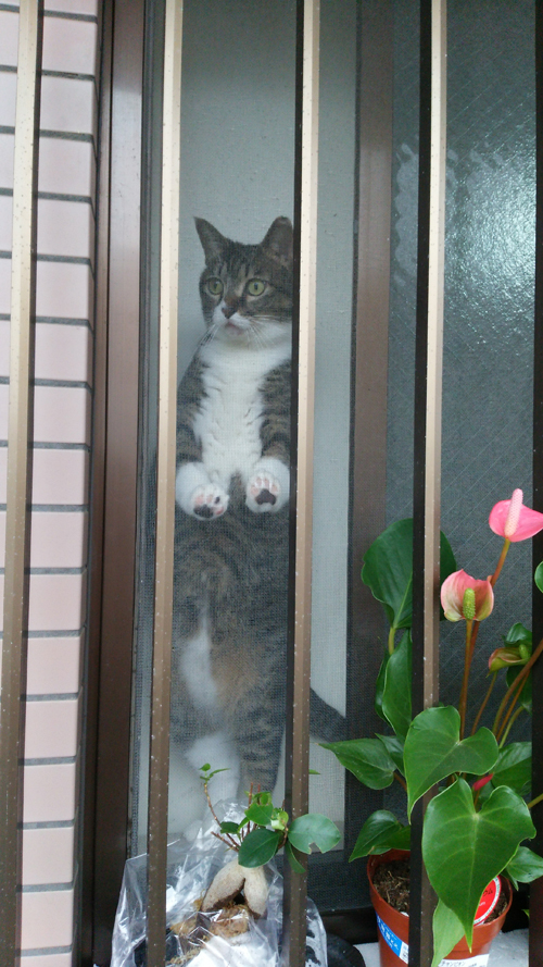 育美さんを見送るまる