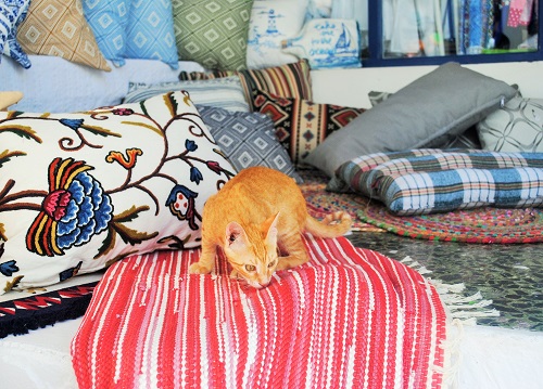 ありゃりゃ、売り物の上を探検しちゃいけませんよ（アンティパロス島）