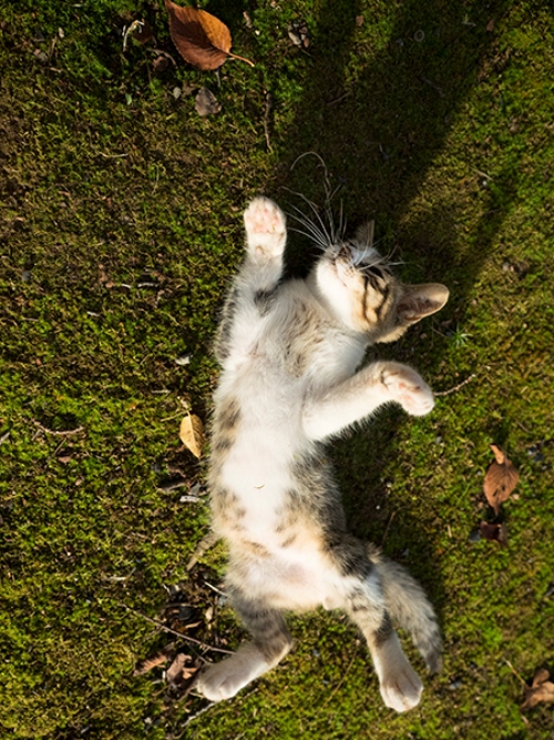 写真＝小森正孝　（デジタルカメラマガジン）