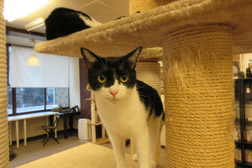 ねえ、遊ぼうよ