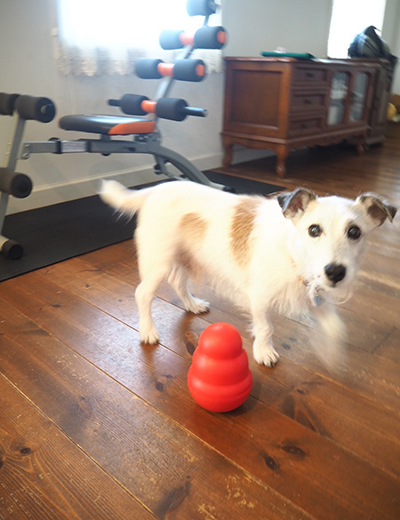 若さの秘訣は巨大コングだワン！