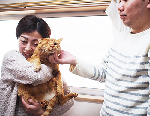 愛情表現は、毎日降る星のごとく