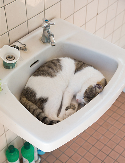 人々の寛容さが、島のあたたかな雰囲気を作っている