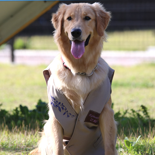 【3位：栃木県　那須温泉　ホテルエピナール那須】こなす