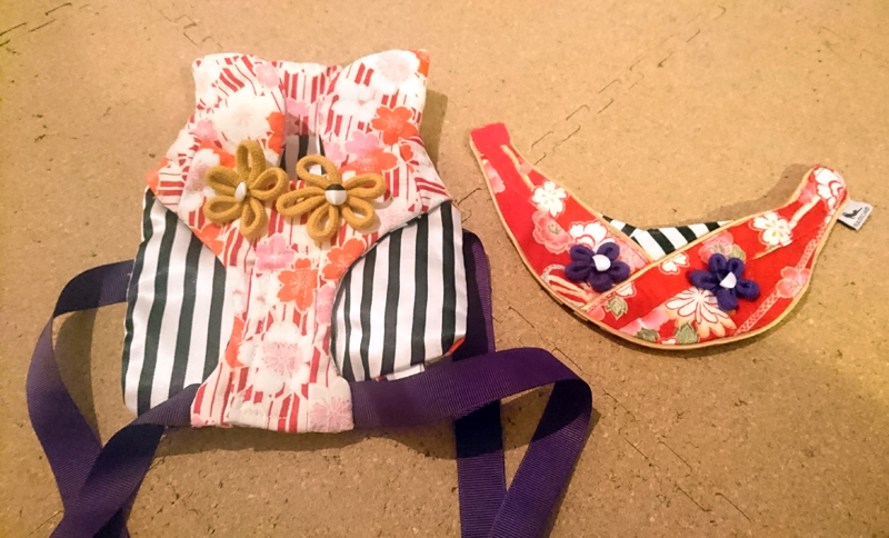 ２匹に着て欲しかった衣装