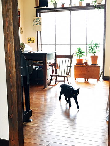 店内は明るく開放的な空間（安達さん提供）