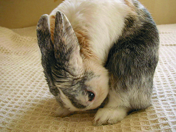 胃腸炎のために便培養検査が必要になるのはどのような場合ですか?