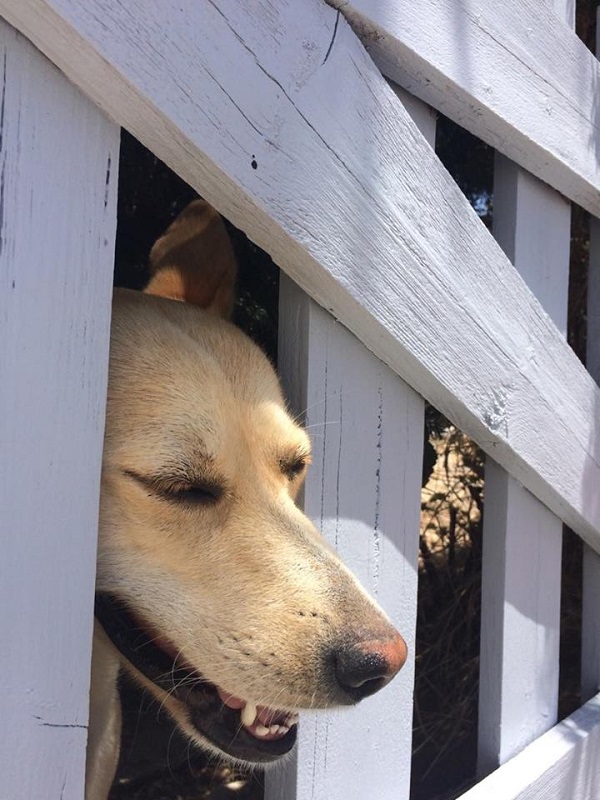 何故だか前に進めないけれども遊びたい…