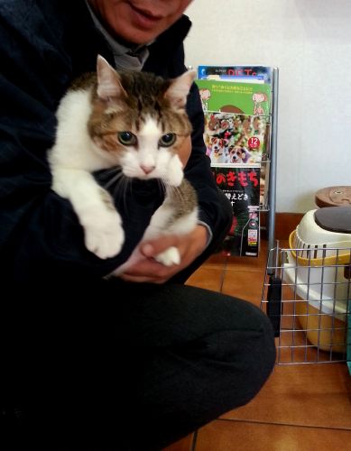 １１月、病院内で