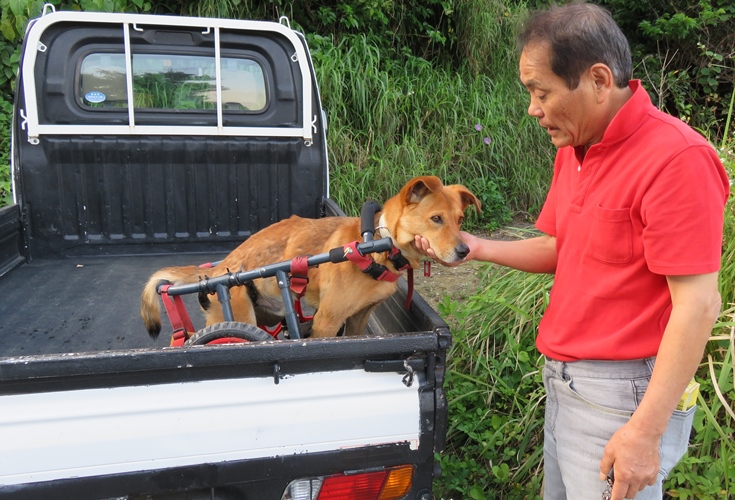 荷台に乗るラッキーに話しかける島田さん（撮影＝小林照幸）