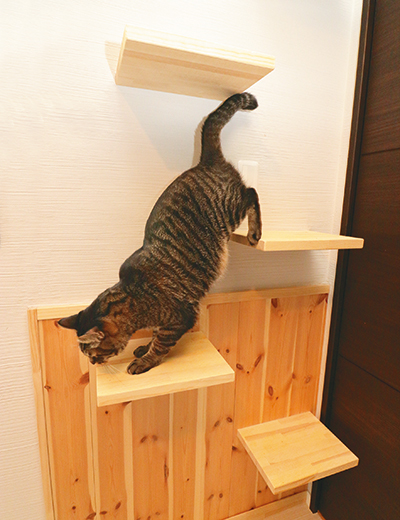 互い違いのステップで運動量もバッチリ