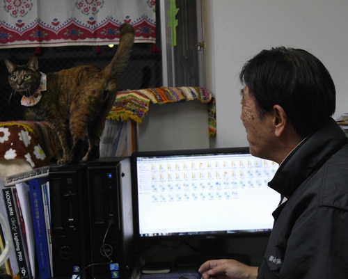 「たまこ」と、のぶさん