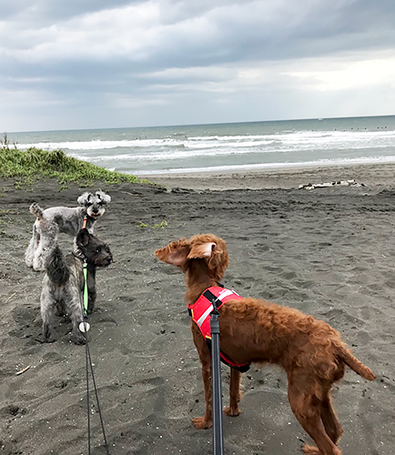 奥がJIRO、手前がキャンディ、ヴィヴィアン