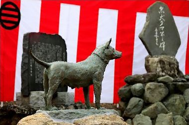 忠犬タマ公（神奈川県横須賀市）＝今年３月下旬、交流が続く新潟県五泉市から横須賀市に寄贈された。タマ公は、２度の雪崩から主人の命を救ったという