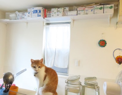 棚には薬類がずらり　医療費は神保さんの給与から