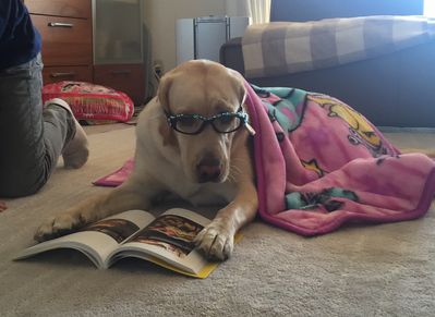 ふむふむ・・インテリ風のサンディ、メガネが似合う