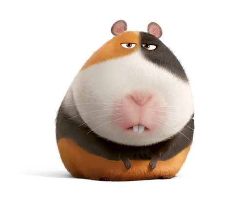 モルモットのノーマン　タイベリアスに食べられそう　©Universal Studios.