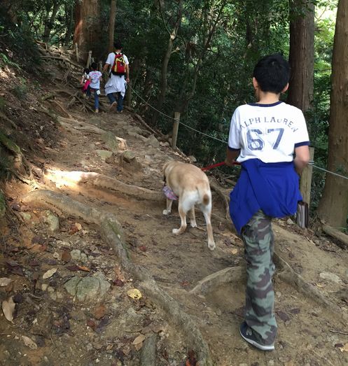 「待ってー」筑波山を１時間半かけて登りました（帰りはロープウエーです！）