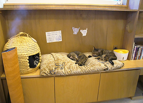 「Cat's Meow Books」で