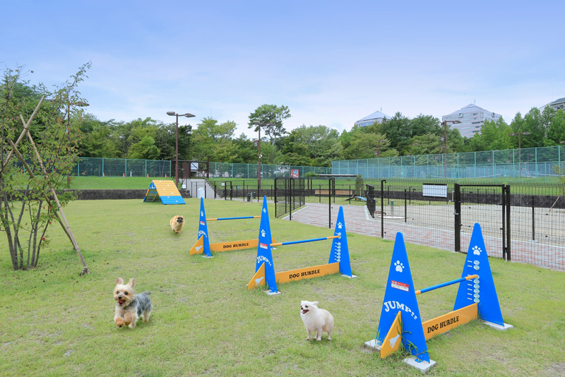 【3位：栃木県　那須温泉　ホテルエピナール那須】ドッグラン