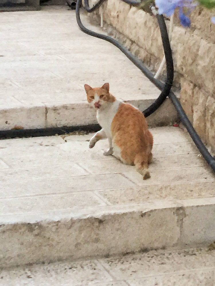 お食事後ですかね