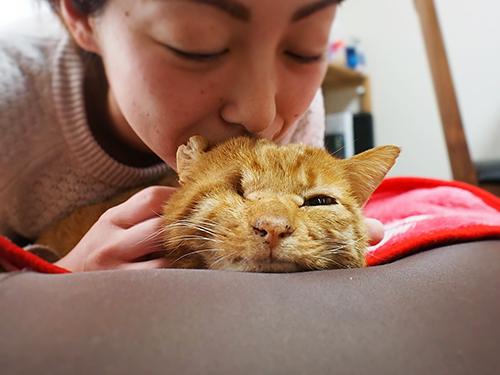 「どんな顔も、どんなしぐさも可愛くてたまりません」