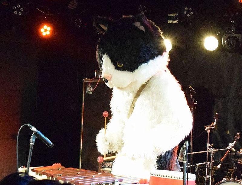 圧巻の木琴テクニック