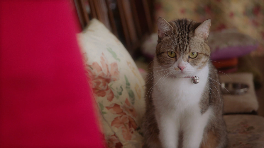 三菱電機「ニクイねぇ！シアター」 第3弾「Father」より