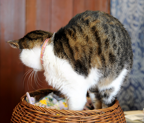 伸びをして気分転換