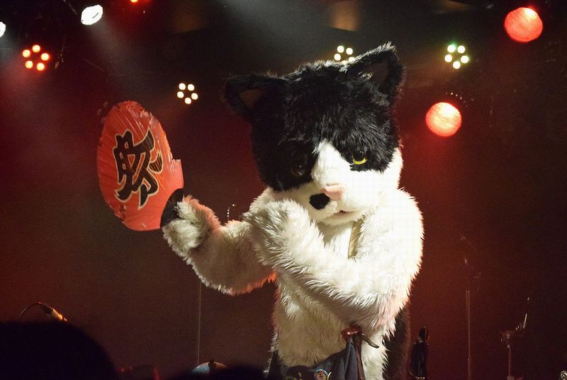 「アガってく音頭」では、うちわであおる