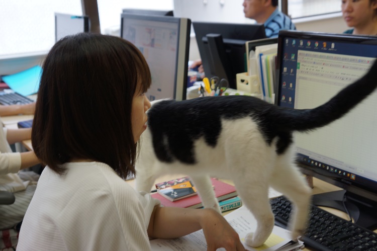 「はいちょっと失礼」　画面を横切るバン