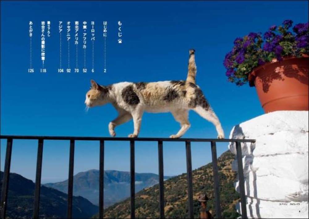 「世界のねこみち」から