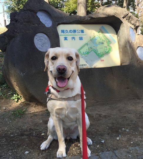 「いい表情、ベストショットね」と撮影したママ。心が通じ合っているからこその笑顔