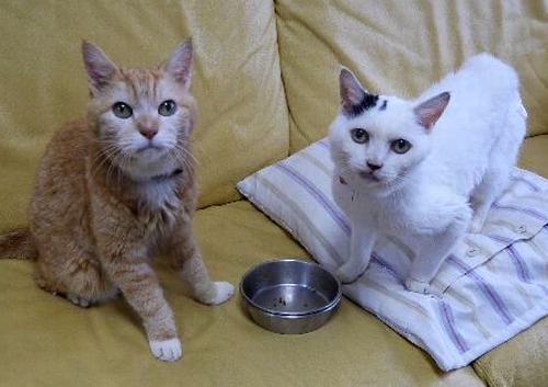 ずっとずっと、忘れないよ