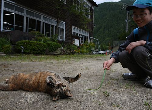 「猫とはこうやって遊ぶのニャよ」。神奈川県から訪れた小学生に指導する