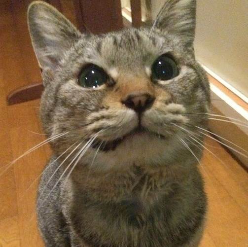 楽天トラベル提供