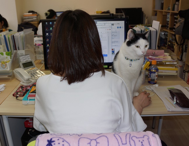 「猫の手貸そうか？」デスクにいるのは当たり前の光景