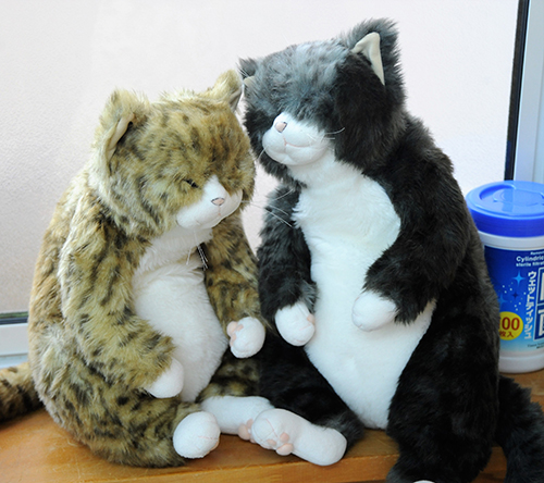 猫のぬいぐるみもお出迎え