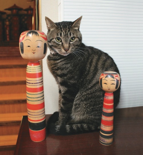 土湯温泉「小滝温泉」ニャーン　写真＝伴田良輔