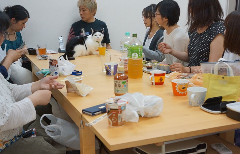 猫カフェと見間違えるオフイスの昼どきシーン