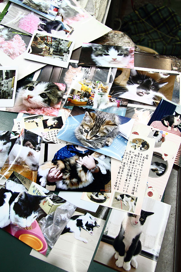 里親さんからのお手紙、成長記録の写真はファイル数冊にもなる