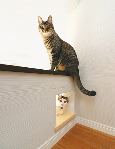 ロフトの手すりは展望台